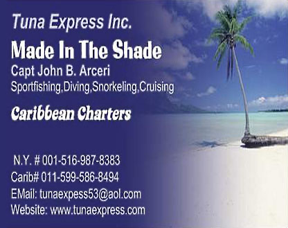 Made In The Shade fishing charters montauk